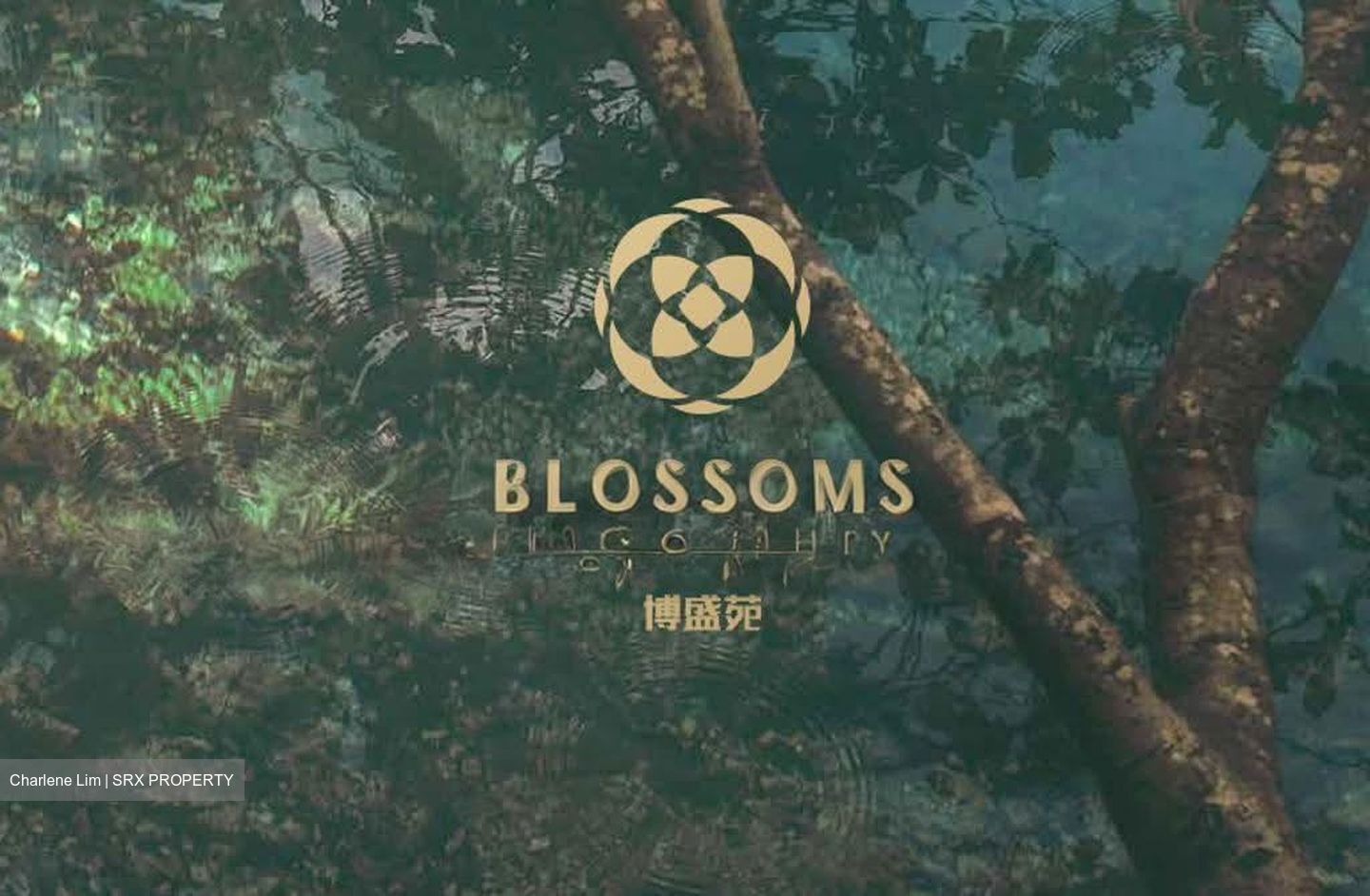 Blossoms By The Park (D5), Apartment #615224001